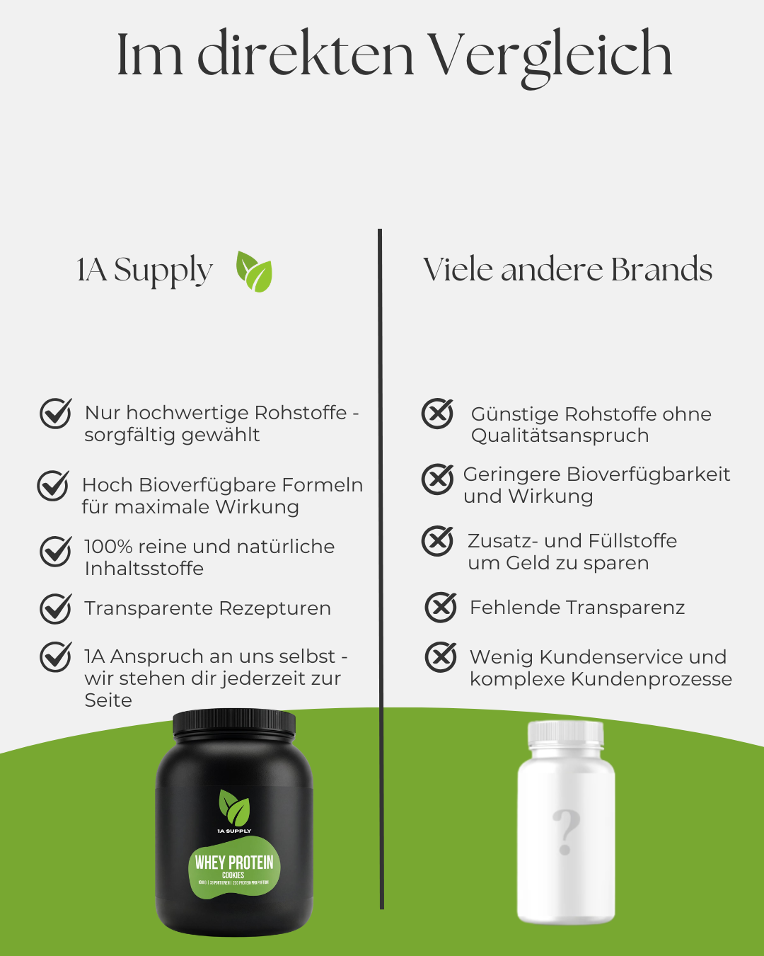 Whey Protein 1000g Pulver