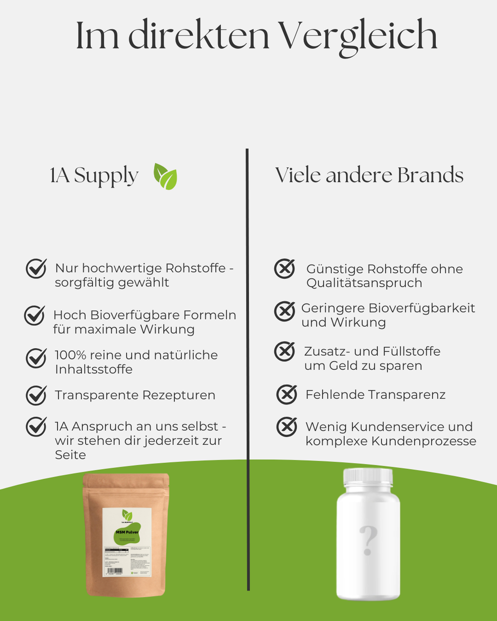 MSM Pulver