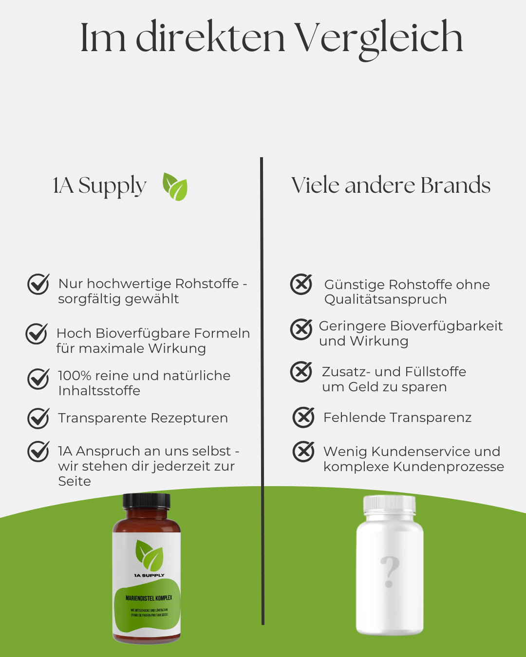 Mariendistel Artischocke Löwenzahn Komplex