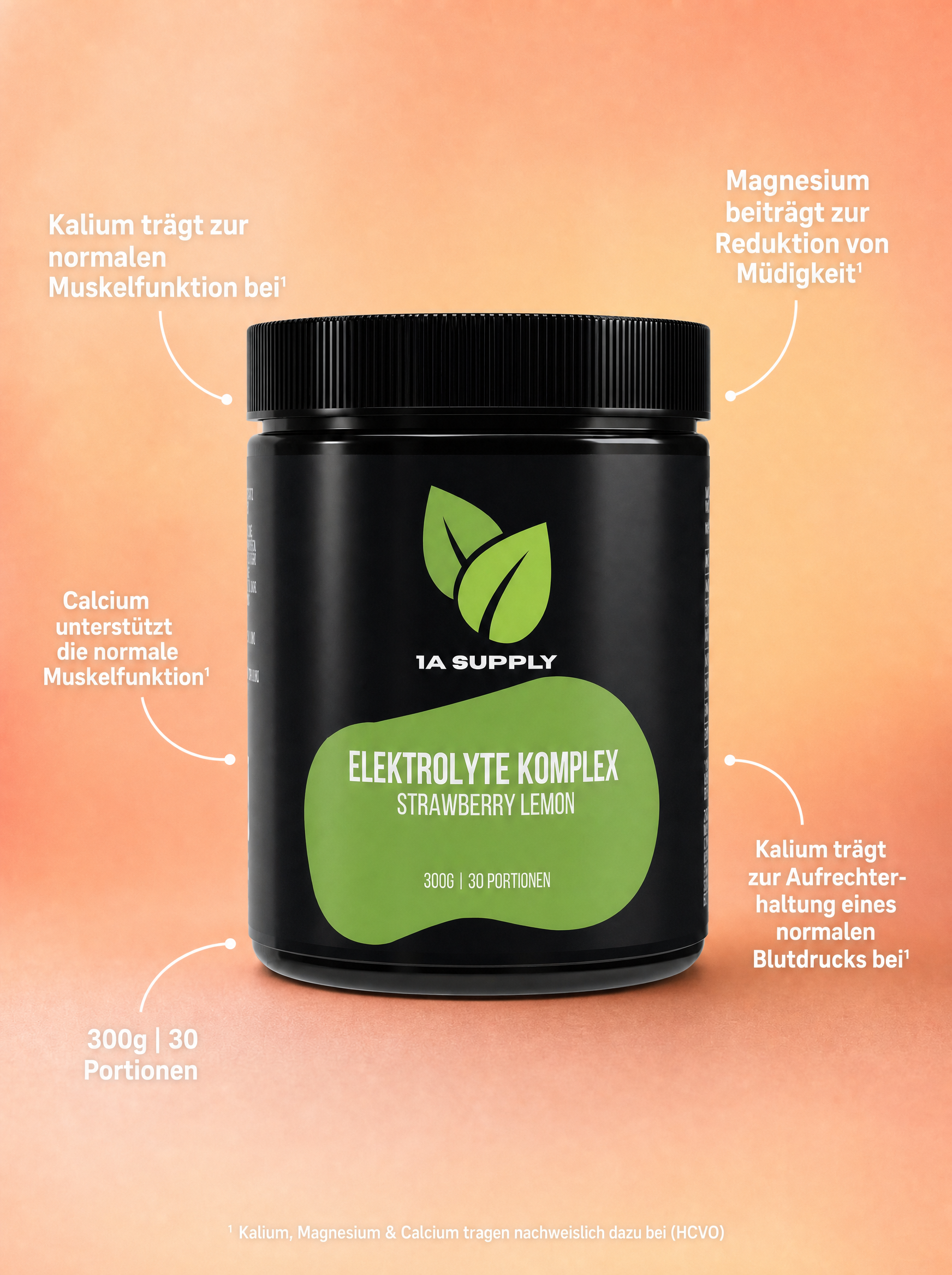 Elektrolyte Pulver